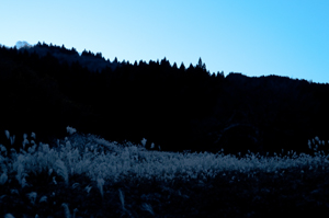 b0208494_23445454.jpg
