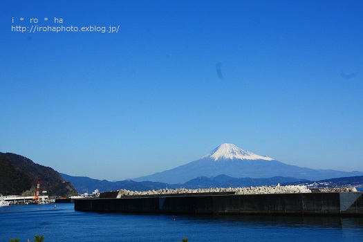 a0152596_221199.jpg