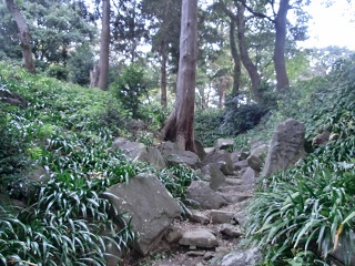 d0156797_02772.jpg