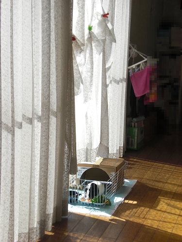c0241498_22532476.jpg