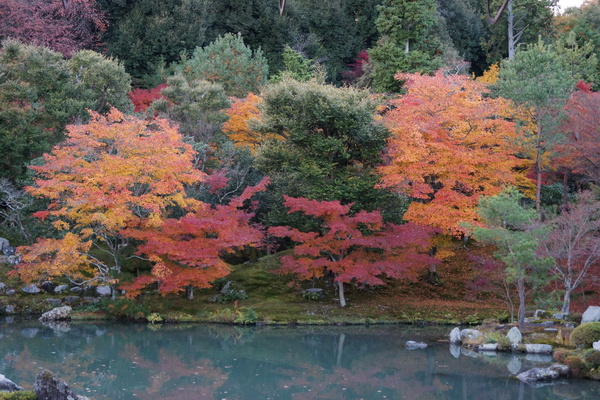 秋色に染まる嵐山_b0232400_10152014.jpg