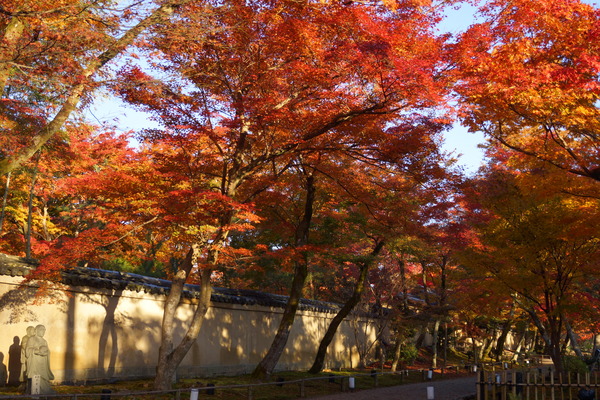 秋色に染まる嵐山_b0232400_10312881.jpg