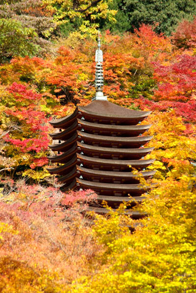 談山神社_c0069601_2155372.jpg