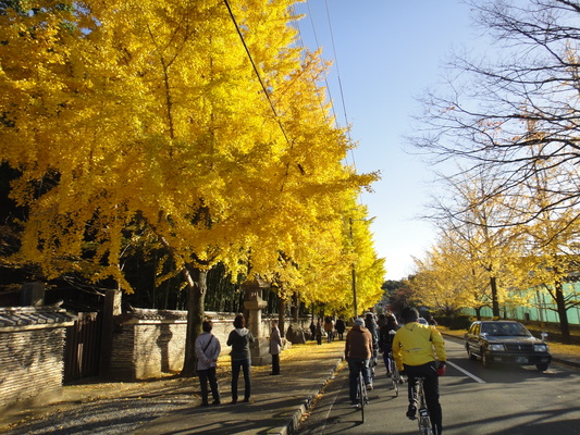 京都ガイドツアー2012秋_c0132901_10311789.jpg