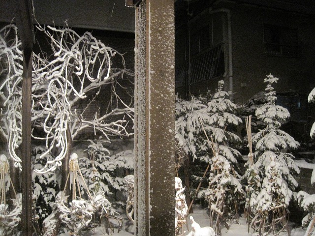 f0202703_23263939.jpg