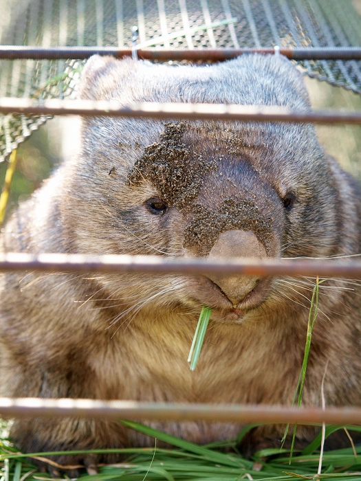 ヒロキの暖かい日曜日_a0164204_1420577.jpg