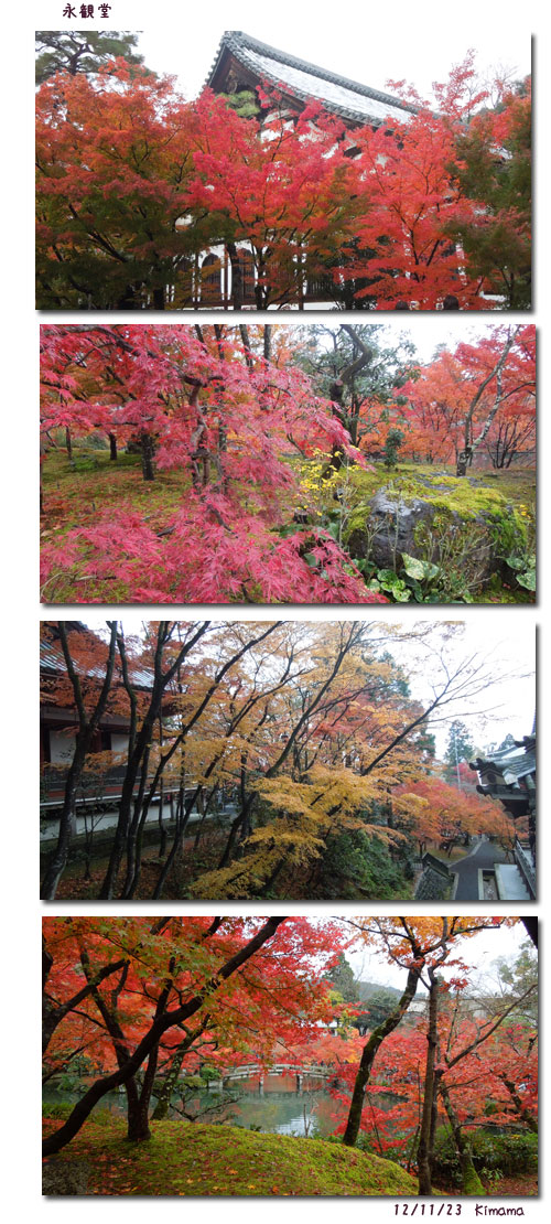 香嵐渓、京都、奈良の紅葉 (2)_c0051105_155146.jpg