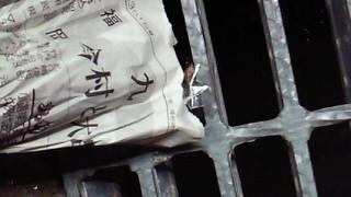 d0149105_1856627.jpg
