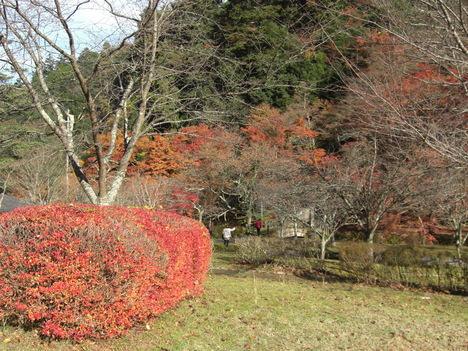e0252905_421102.jpg