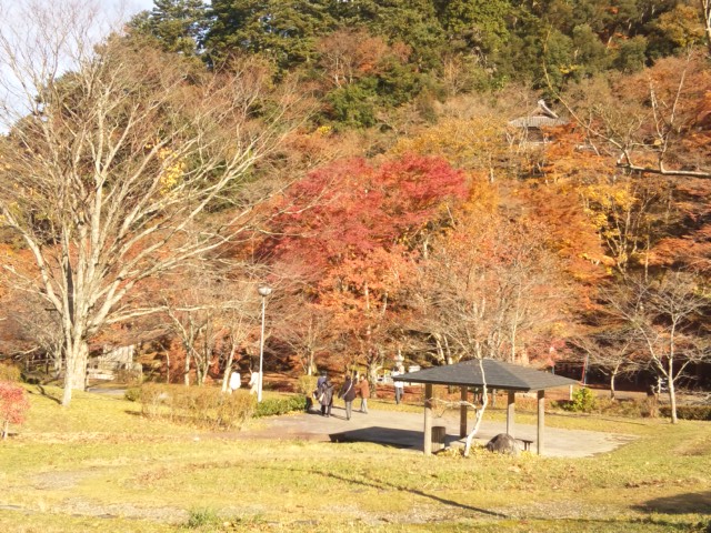 e0252905_4214784.jpg