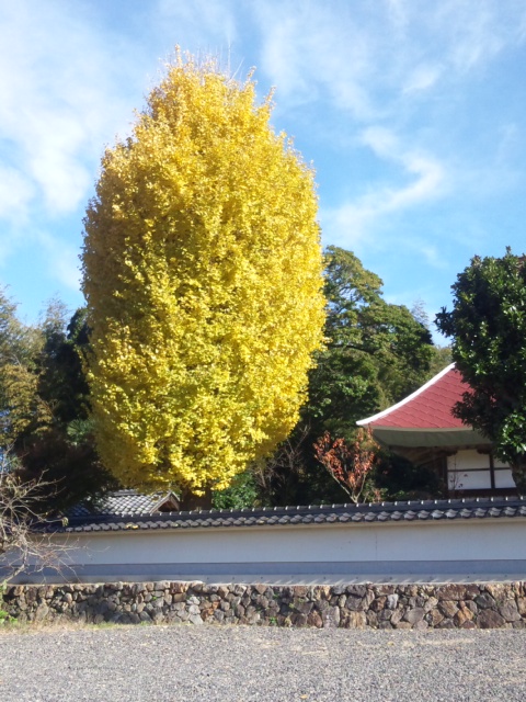 e0252905_4231930.jpg