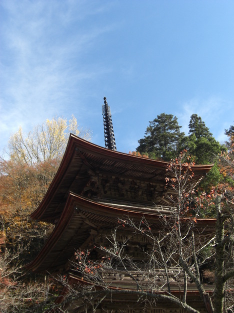 e0252905_4362690.jpg