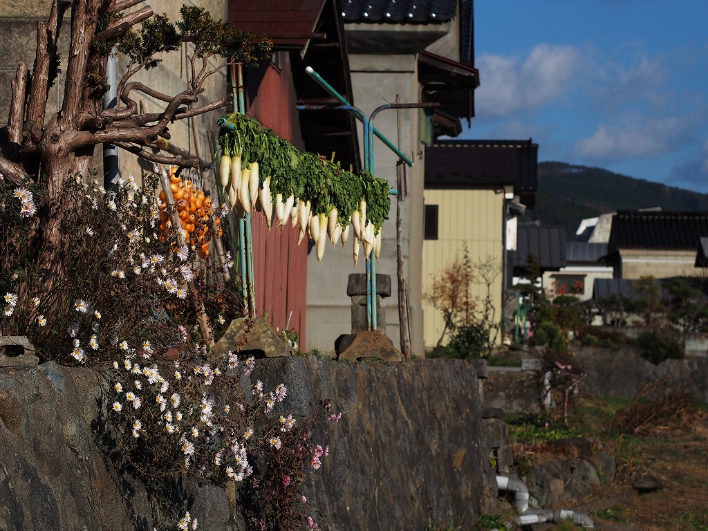 京都・奈良紅葉ツアーは中止_f0138305_2040248.jpg