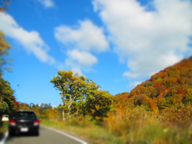 f0039907_16455369.jpg
