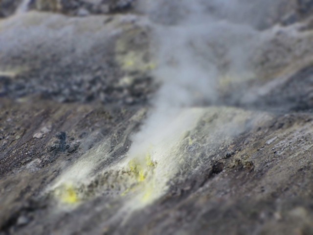 f0039907_1651449.jpg