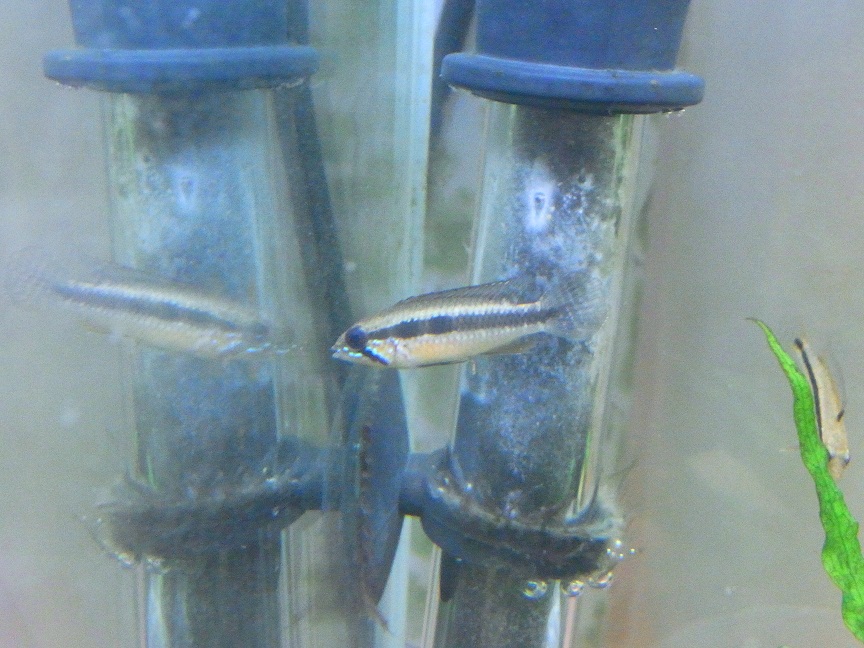 b0274808_01020.jpg