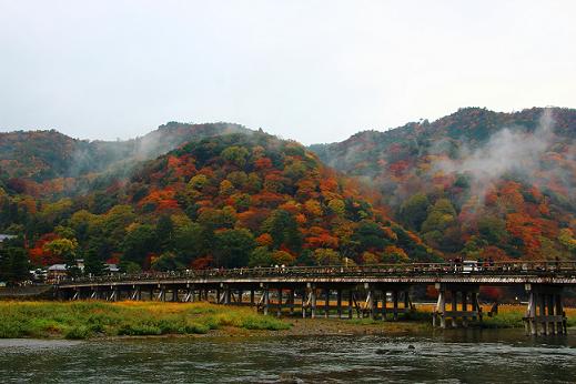 嵐山（２０１２．１１．２３撮影）_a0208109_2226620.jpg