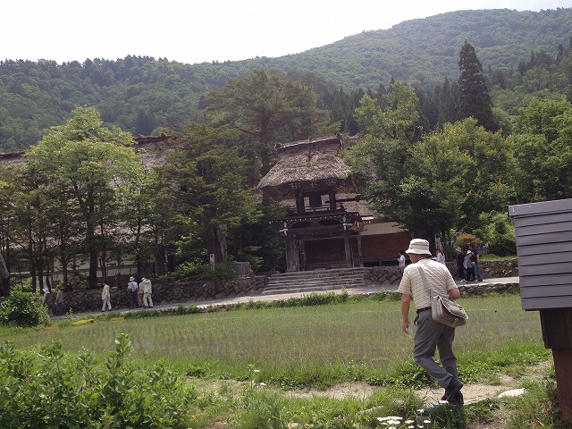 d0153509_6195330.jpg