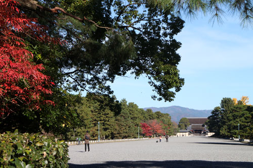 紅葉だより57　京都御苑　紅葉盛り_e0048413_2102666.jpg