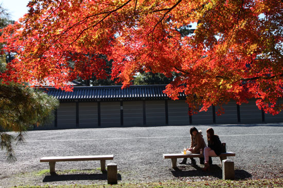 紅葉だより57 京都御苑 紅葉盛り_e0048413_211353.jpg