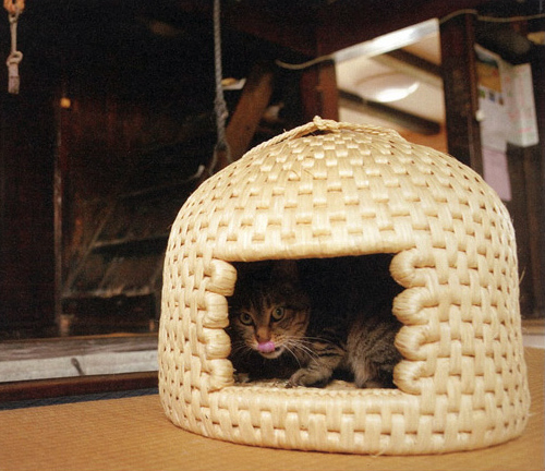 稲わら100％の猫ハウス：猫ちぐら : 賃貸ネコ暮らし｜賃貸住宅でネコを 
