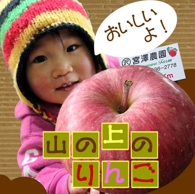 ♪新鮮　発芽野菜通信『希望』♪_d0063218_10099.jpg