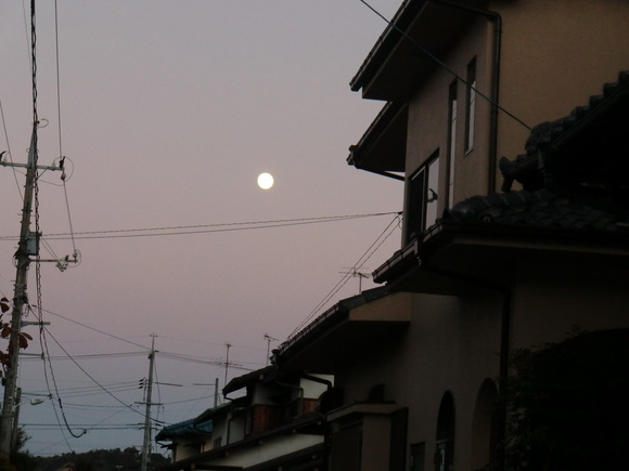 b0163121_21545927.jpg