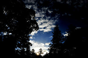 b0169522_20443026.jpg