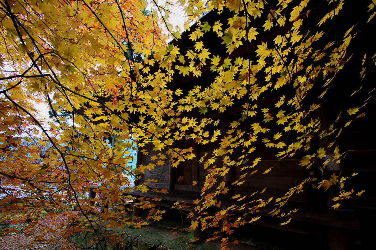 f0004525_22472010.jpg