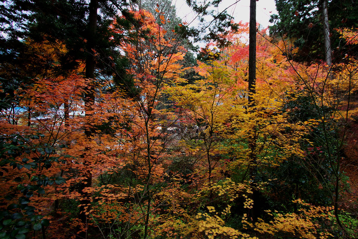 2012 紅葉オフ♪ -1-_f0004525_22473842.jpg