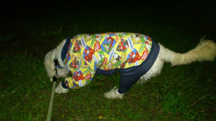 c0254426_0364527.jpg