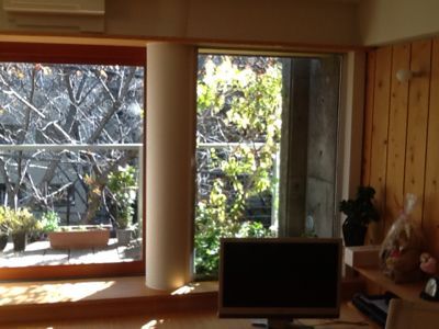 マンションの木材を利用したリフォーム_c0124828_1336151.jpg
