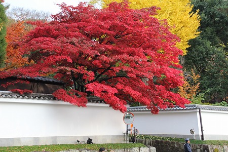 f0054428_0181668.jpg