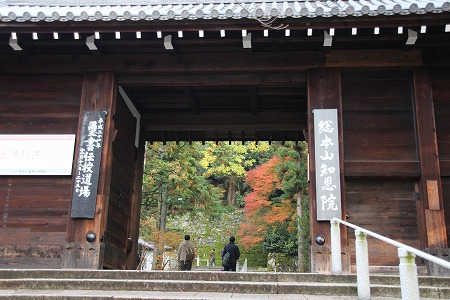 f0054428_0301116.jpg
