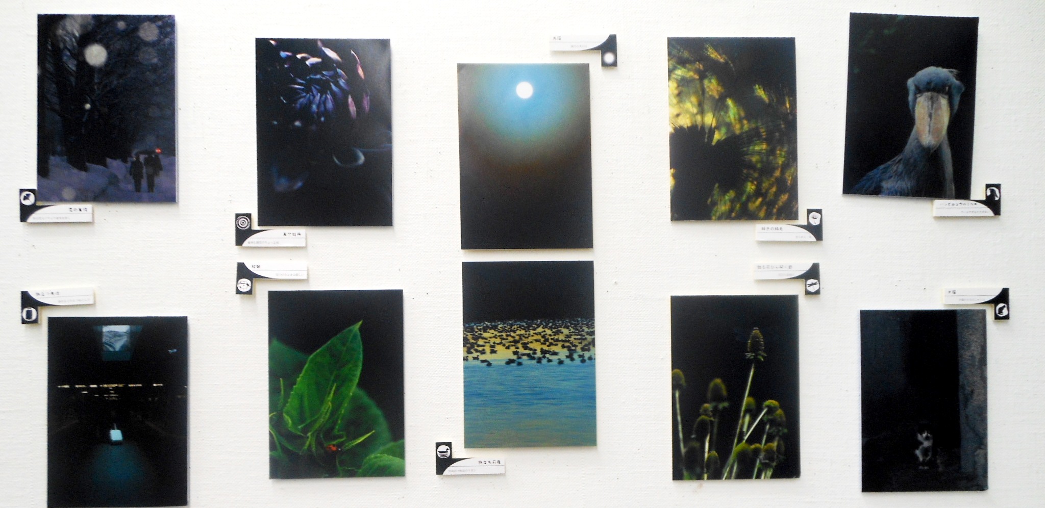 1888)③「写真クラブ「BePHaT!!」 第9回作品展　『夢 Photo 2012』」市民g. 終了11月21日(水)~11月25日(日)_f0126829_0453.jpg