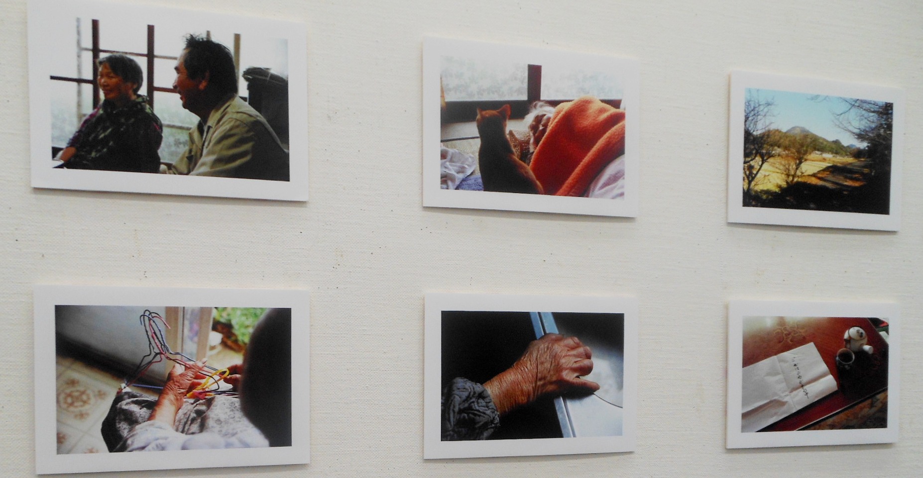 1888)③「写真クラブ「BePHaT!!」 第9回作品展　『夢 Photo 2012』」市民g. 終了11月21日(水)~11月25日(日)_f0126829_0581288.jpg
