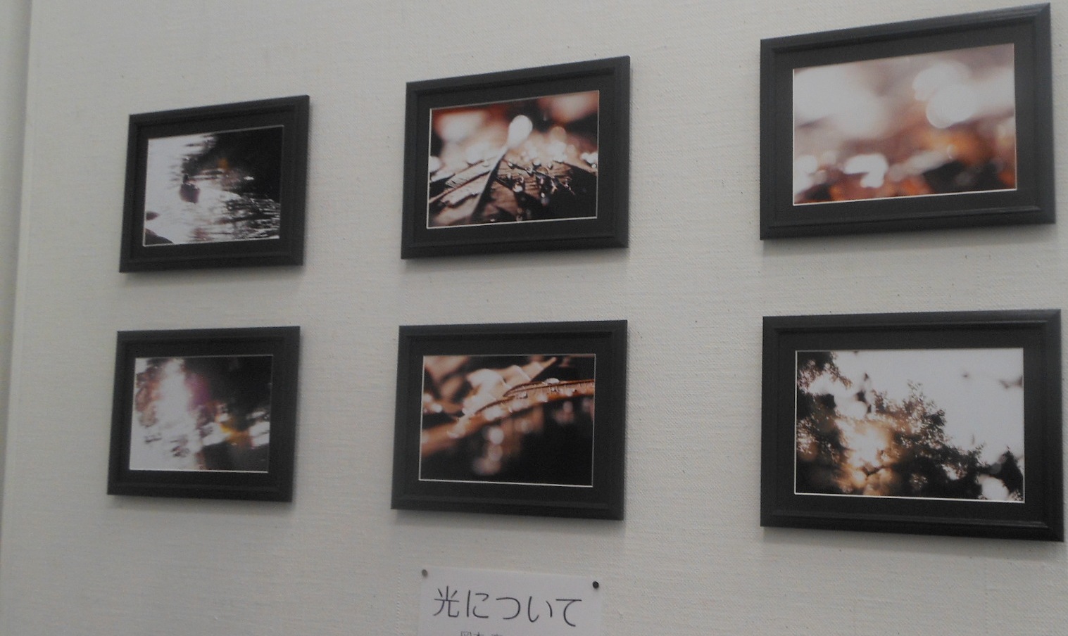 1888)③「写真クラブ「BePHaT!!」 第9回作品展　『夢 Photo 2012』」市民g. 終了11月21日(水)~11月25日(日)_f0126829_101291.jpg