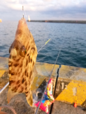 c0113733_0113013.jpg