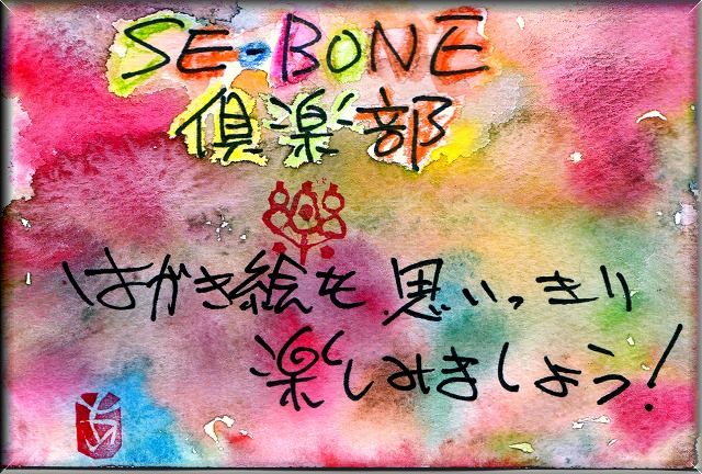 SE-BONE倶楽部。_e0054438_1851082.jpg