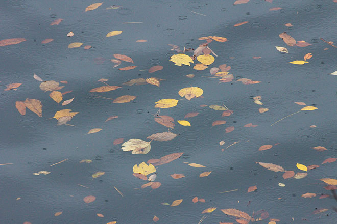 c0067040_1912514.jpg