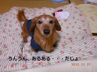 c0206342_22444747.jpg