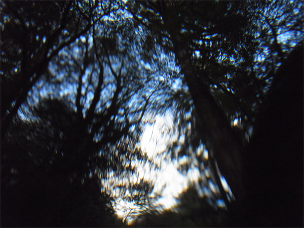 f0229844_23345729.jpg