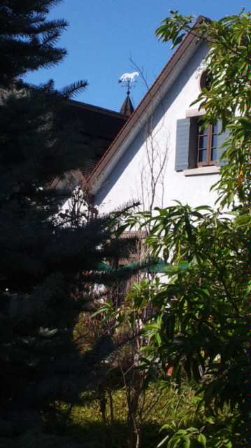 b0230746_21312071.jpg