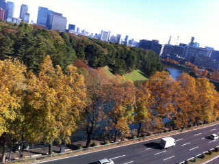 f0071647_1543433.jpg
