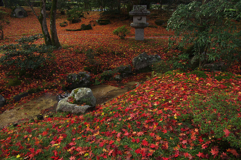 晩秋の修学院離宮（下離宮編）_f0155048_2294878.jpg