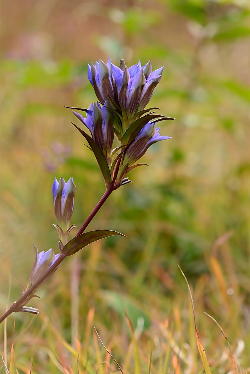 f0224648_14445071.jpg