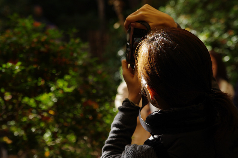 紅葉 2012　～祇王寺～_f0152550_1914021.jpg