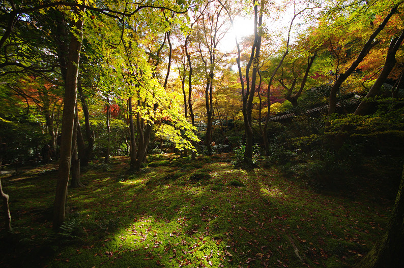 紅葉 2012　～祇王寺～_f0152550_19155285.jpg