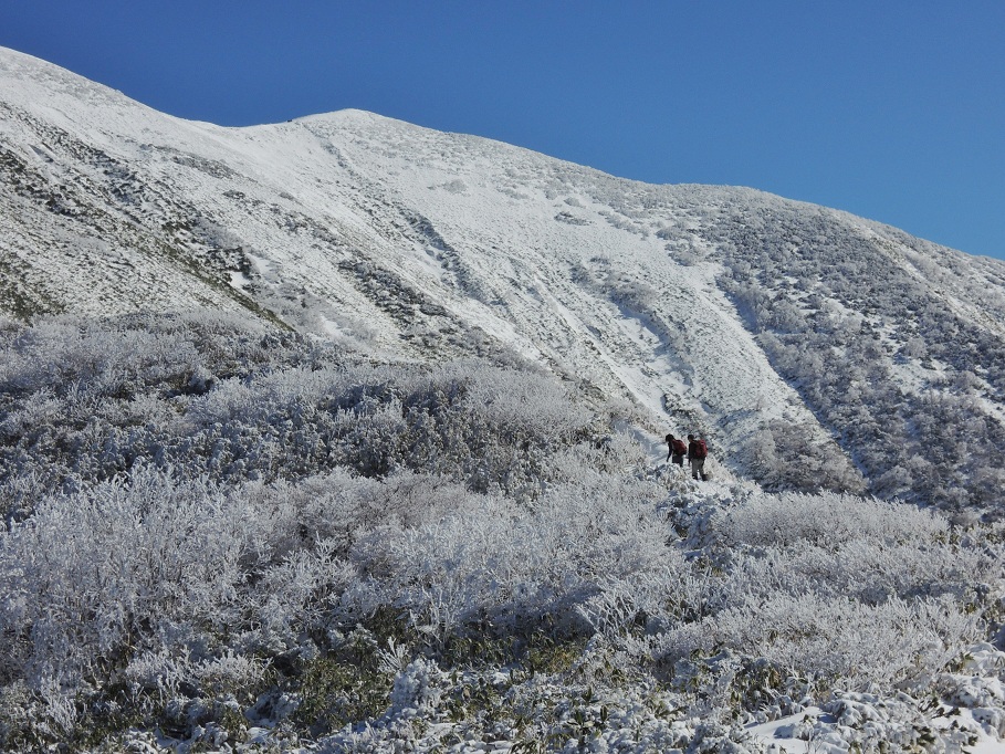 初冬の平標山　（谷川連峰）_a0286351_2320893.jpg