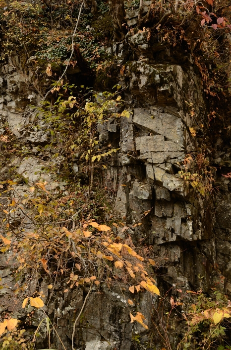 a0263952_19261041.jpg